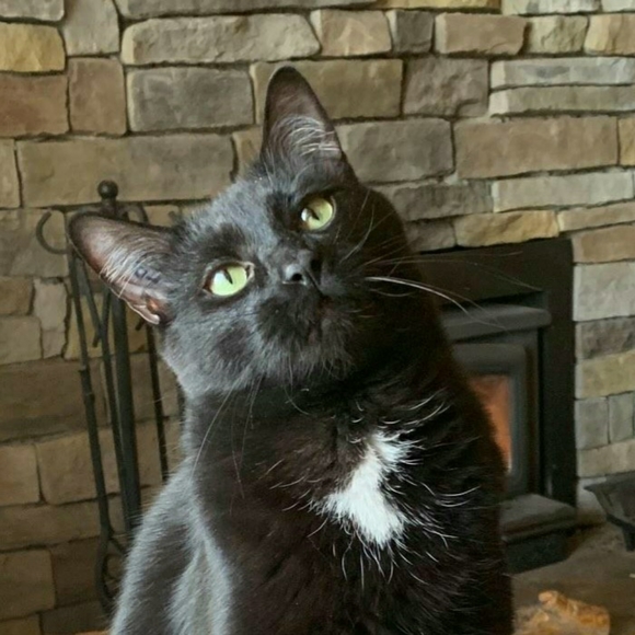 Meet your Posher, Kelly - Picture 1 of 1